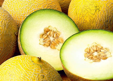 melons tybe|Types of Melons: Different Melon Varieties With Pictures and Names